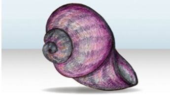 Schnecke