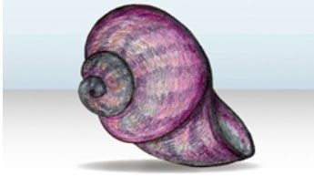 Schnecke